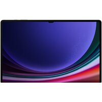 Samsung Galaxy Tab S9 Ultra Wi-Fi SM-X910 12GB/512GB (графитовый) Image #2