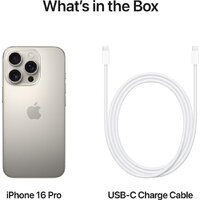 Apple iPhone 16 Pro Dual eSim 512GB (природный титан) Image #7