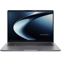 ASUS ExpertBook P3 P3405CVA-LY0188