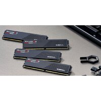 G.Skill Ripjaws S5 2x16ГБ DDR5 6000 МГц F5-6000J3036F16GX2-RS5K Image #5