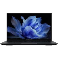 Maibenben P725 P7251SF0LGRE0