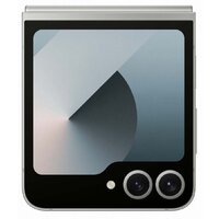 Samsung Galaxy Z Flip6 SM-F741B 12GB/512GB (серый) Image #3