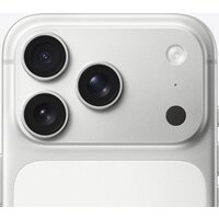 Apple iPhone 17 Pro Dual SIM 1TB (серебристый) Image #4