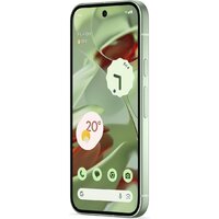 Google Pixel 9 12GB/256GB (винтергрин) Image #3