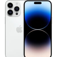 Apple iPhone 14 Pro Max eSIM 256GB (серебристый)