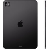 Apple iPad Pro 11" 2025 256GB (черный космос) Image #2